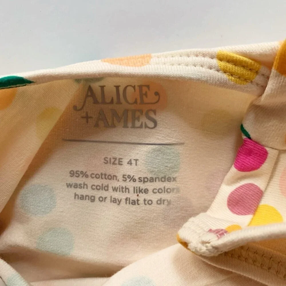 Alice and Ames Girl Bodysuit 4T